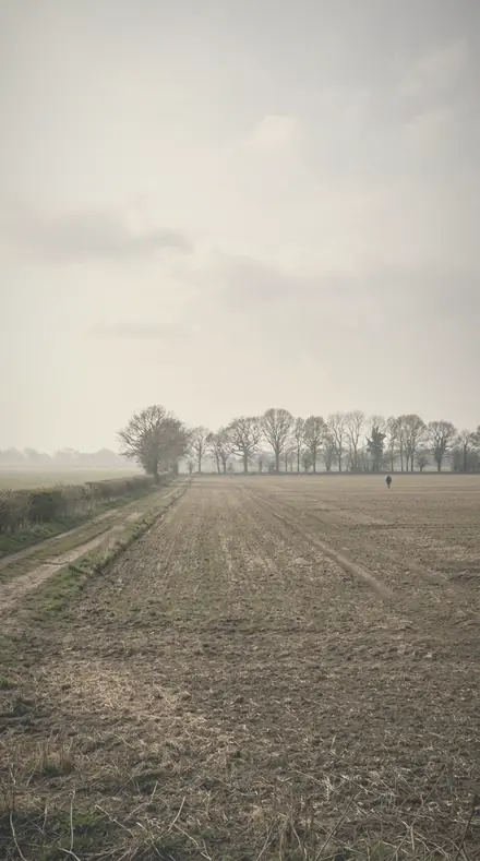 Breathed Glass applied to The meadow, its haze put back