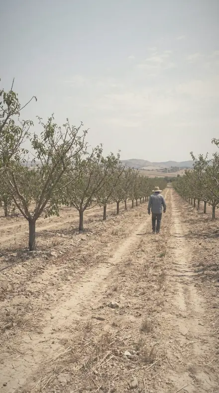 Breathed Glass applied to The orchard, softened row by row