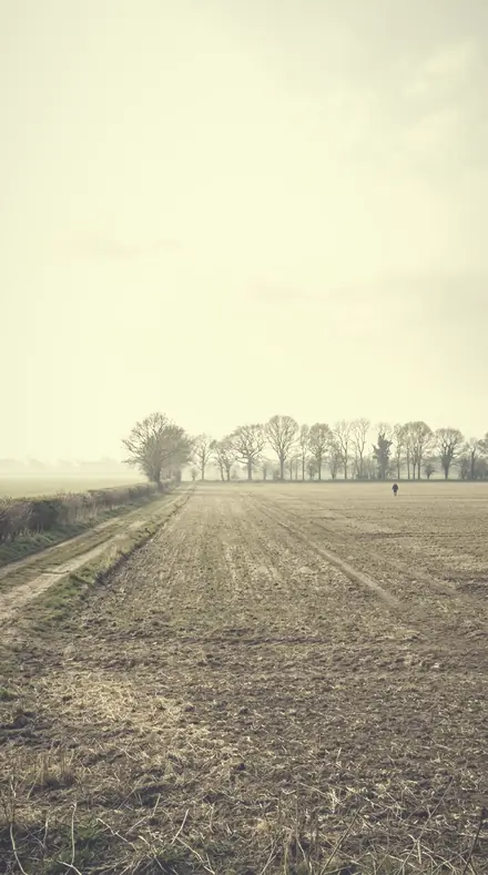 Powdered Sky applied to The meadow, its haze put back