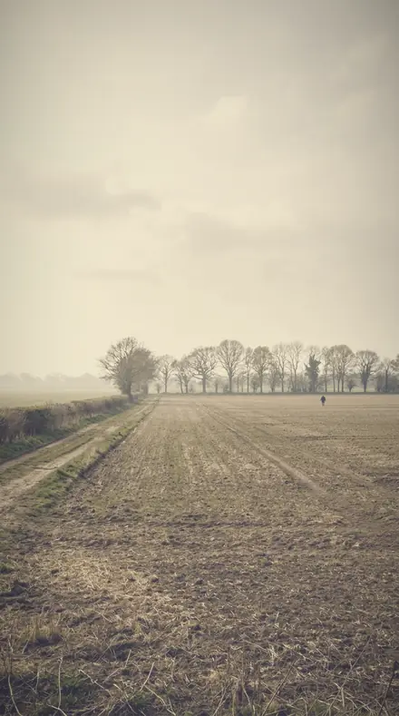Tender Distance applied to The meadow, its haze put back