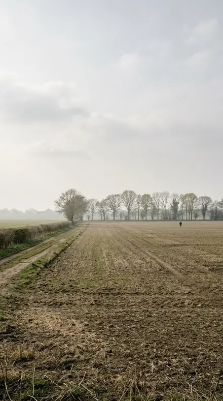 Before: The meadow, its haze put back
